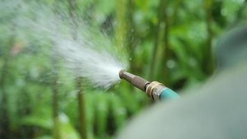 over- de schouder visie van persoon gebruik makend van een slang naar water een tuin video