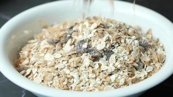 Dry oats and raisins in bowl close up to show texture video