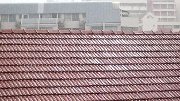 Rain falls on a rooftop video