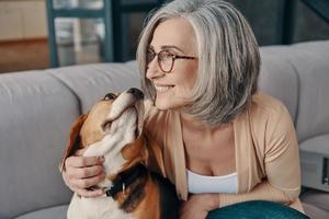 Happy senior woman in casual clothing spending time with her dog while sitting on the sofa at home photo