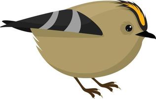 Pájaro de Goldcrest, ilustración, vector sobre fondo blanco.