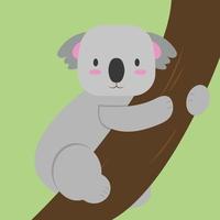 Koala on tree, illustration, vector on white background.