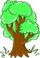 Big green tree , illustration, vector on white background