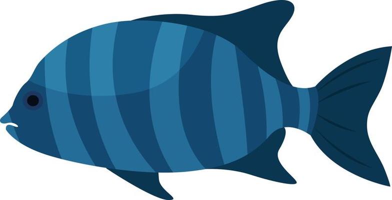 Stripped beakfish, illustration, vector on white background