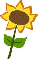 Flat sunflower, illustration, vector on white background.