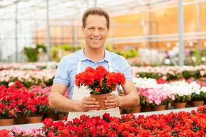 Man with potted plant. Handsome mature man in apron stretching out a potted plant and smiling while standing in a greenhouse photo