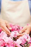 Gardening. Cropped image of man in apron taking care of flowers while standing in greenhouse photo