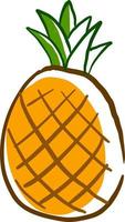 Pineapple drawing, illustration, vector on white background.