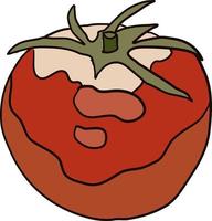 Red tomato, illustration, vector on white background.