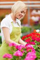 She loves her job. Beautiful blond hair woman in apron arranging flowers and smiling photo