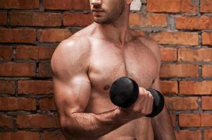 Weight training. Cropped image of young muscular man training with dumbbells while standing against brick wall photo