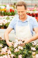 He loves his job. Handsome mature man in apron arranging flowers and smiling photo