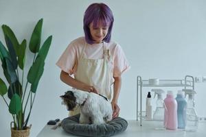 Confident young woman combing little dog at the grooming salon photo