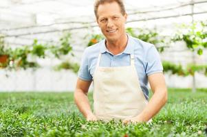 Man gardening. Handsome man in apron taking care of plants while standing in greenhouse photo