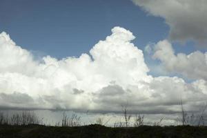 White clouds over forest. Celestial landscape in spring. photo