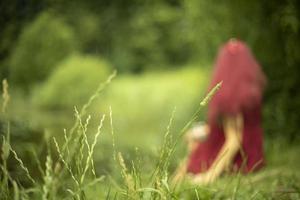 Girl on lake. Woman on nature. Holiday in park. photo