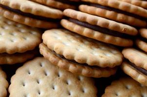 Detailed picture of round sandwich cookies with coconut filling. Background image of a close-up of several treats for tea photo