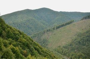 Fragment of the mountainous terrain in the Carpathians, Ukraine. The forest is forgiven by the reliefs of the Carpathian Mountains photo