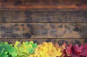 Composition of many yellowing fallen autumn leaves on a background surface of natural wooden boards of dark brown color photo
