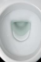 A photograph of a white ceramic toilet bowl in the dressing room or bathroom. Ceramic sanitary ware for correction of need photo