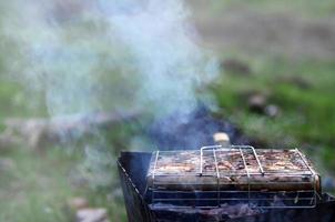 los shish kebabs de alitas de pollo se fríen en el campo. una clásica barbacoa al aire libre. el proceso de freír carne en carbón foto