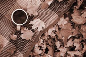 hojas de otoño y una taza de café caliente y humeante se encuentran en cuadros escoceses al aire libre foto