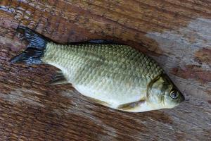 carp on a wooden background photo