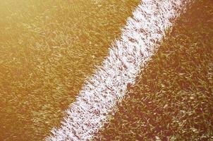 raya blanca en un campo de fútbol de césped artificial verde brillante foto