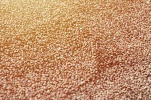 Background texture of a large pile of buckwheat. Many buckwheat grains close-up in daylight photo
