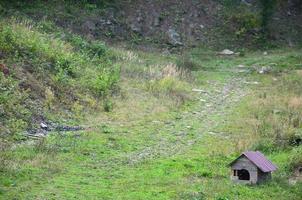 A small doghouse in the open air on a grass field photo
