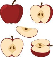 manzana fresca manzanas enteras y una manzana cortada por la mitad. estilo de dibujos animados ilustración vectorial aislada en un fondo blanco vector