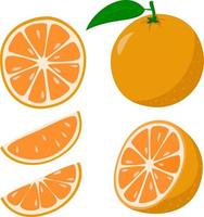 naranja fresca. frutas enteras de naranja y una naranja cortada por la mitad. estilo de dibujos animados ilustración vectorial aislada en un fondo blanco vector