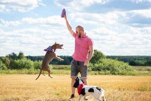 training dogs on the site photo