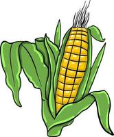 Corn drawing , illustration, vector on white background