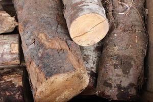 A pile of firewood for the fireplace is laid out in a wooden box. photo