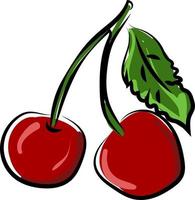 Fresh cherry, illustration, vector on white background.