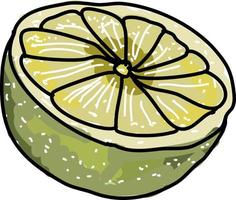 Half lime, illustration, vector on white background.