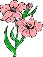 Pink gladiolus , illustration, vector on white background