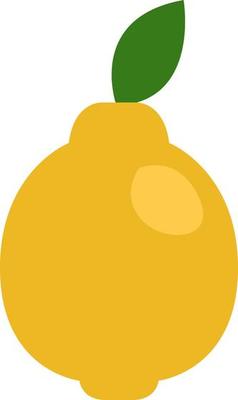Lemon fruit, illustration, vector on a white background.