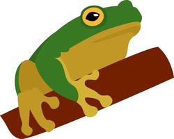 Green frog, illustration, vector on white background