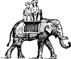 Girls Riding an Elephant, vintage illustration. vector