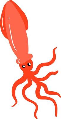 Red squid, illustration, vector on white background.
