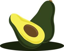 aguacate, ilustración, vector sobre fondo blanco.