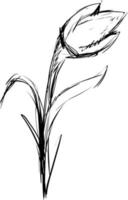 Snow drop sketch, illustration, vector on white background.