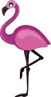 Flamingo, illustration, vector on white background.