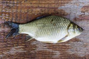 carp on a wooden background photo