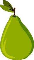 Flat green pear, illustration, vector on white background.