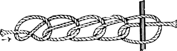 Knots Chain Knot and Toggle, vintage illustration vector