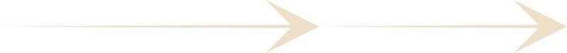 Minimal Thin Arrow Vector Illustration