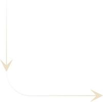 Minimal Thin Arrow Vector Illustration